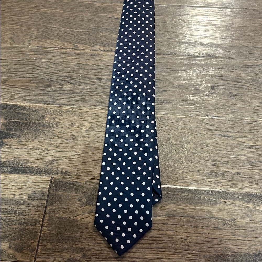 Elegant Navy Polka Dot Tie